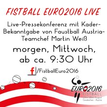 Seltec TV - WM LIVE im Web
